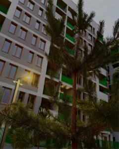 Новий рік — час для здійснення мрій про власне житло